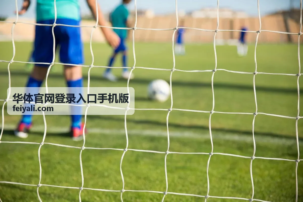 华体官网登录入口手机版手机端快捷入口示意